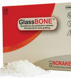 GlassBONE sustituto óseo sintético para injertos en guadalajara | IGEA