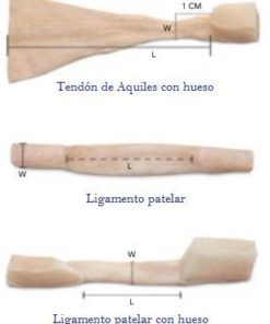 aloinjertos de tendon en guadalajara | productos y servicios medicos en guadalajara