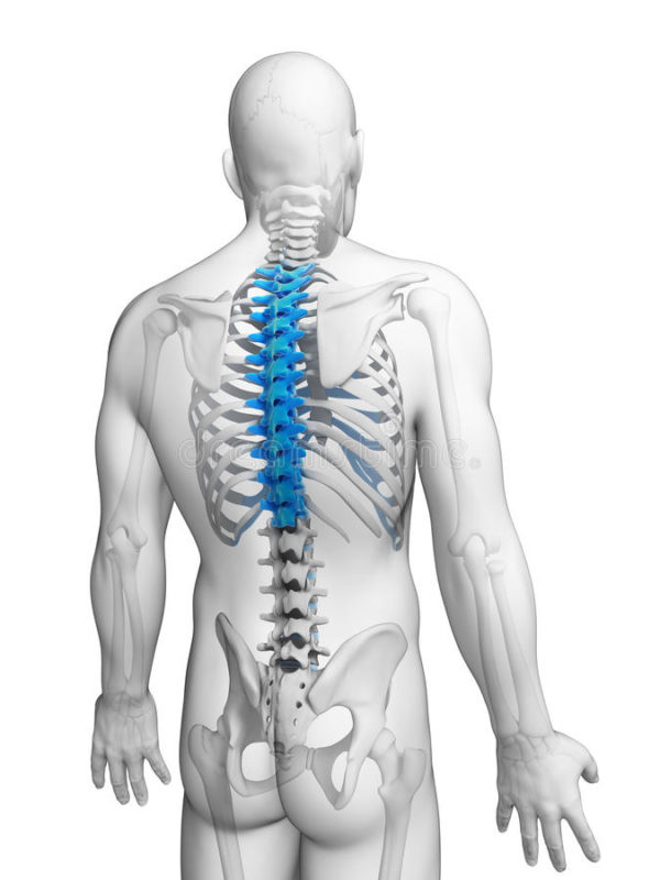 que es una hernia dorsal | venta y renta de equipos medicos para cirugias de columna en Guadalajara | IGEA