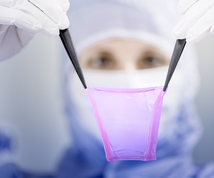 tipos de injertos en Guadalajara | Renta y Venta de productos y Servicios Medicos Mexico