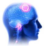 torre endoscópica stryker 1588 | soluciones quirurgicas para neurocirugia en mexico