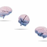 Procedimientos Quirúrgicos del Drill TPS Mexico | Medicos Especialistas en Neurocirugia y Traumatologia en Guadalajara