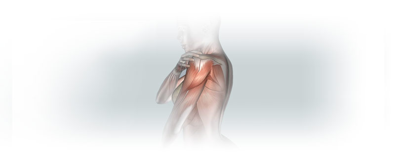 Dolor de Hombro | Causas, Diagnóstico y Tratamiento | IGEA Soluciones para Trauma